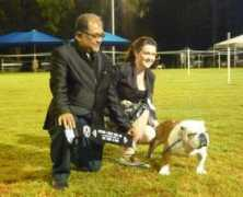 dogzonline.com.au Teighlor