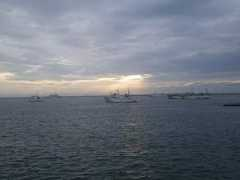 jfa.maff.go.jp Teisen