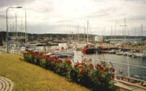 Tejn