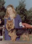tekoahterriers.tripod.com Tekoah
