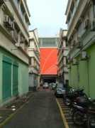 maddruid.com Telawi