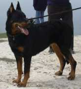 Telby