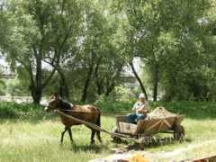 travelua.info Telega