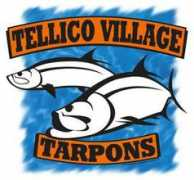 Telico