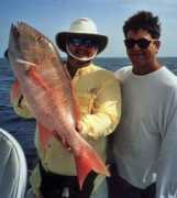 fish-killgore.com Tellam