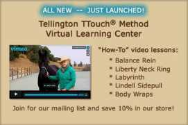 tellingtontouch.com Tellington