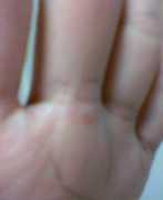 koko.meblog.biz Temame