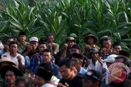 antaranews.com Temanggung
