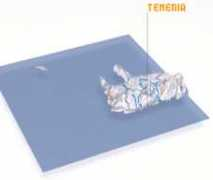 nona.net Temenia