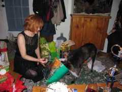 webstart.com Temesia