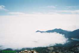 Temor