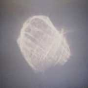 pioulard.com Temper