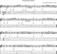 traditionalmusic.co.uk Temperence