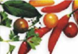 mulherdeclasse.com.br Temperos
