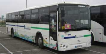Temsa