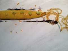 blogs.elpais.com Tenica