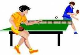 autre.net Tennisdetable
