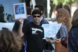 nonhumanrightsproject.org Tenofsky