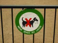 mentovai.com Tenus