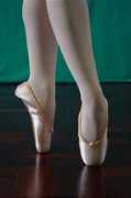 the-perfect-pointe.com Teplov