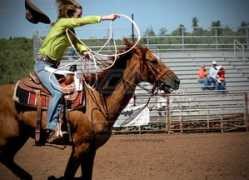 theequinest.com Terace