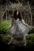 musicaldiscoveries.com Terami