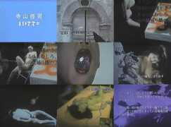 johncoulthart.com Terayama