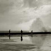 photoforum.ru Terberg