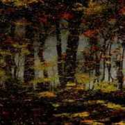 fotokritik.com Tercan