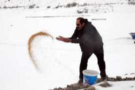 aktifhaber.com Tercan