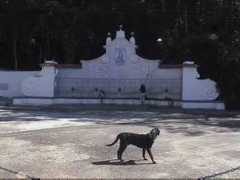 triptobrazil.com Teresopolis