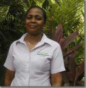 youngisland.com Teresse