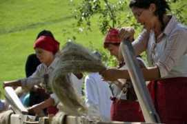 pictureslovenia.com Terice