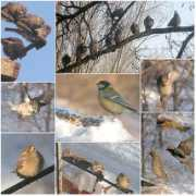 treklens.com Terletska