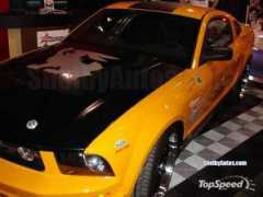 topspeed.com Terli
