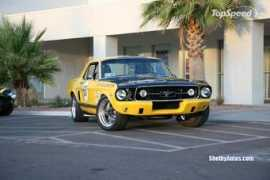 topspeed.com Terli