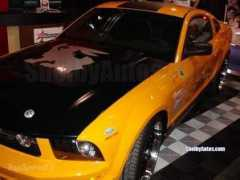topspeed.com Terli