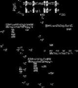 physionet.org Terline