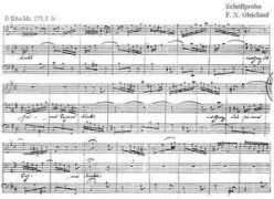 bach.gwdg.de Ternio
