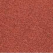 practicmagazin.ro Terracota