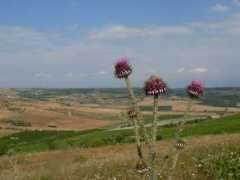 panoramio.com Terrana