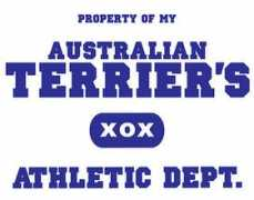 Terrier
