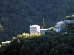 panoramio.com Terrile