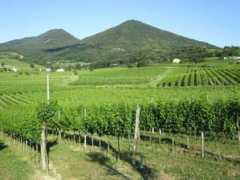 Territorio
