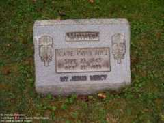 wvcpaweb.org Terryll