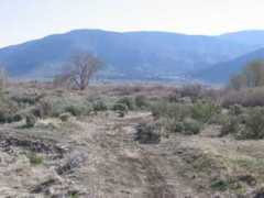 walkerriver.com Terschluse