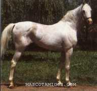Tersky