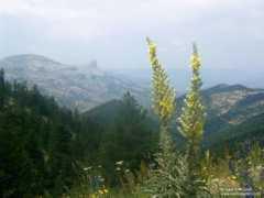 salihsaydam.com Tersun