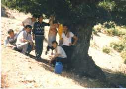 arginder.tr.com.tr Tertipler