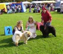 netchows.com Tervakoski